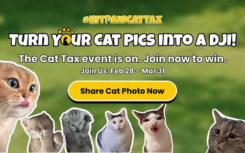 2026 HitPaw Cat Tax Event
