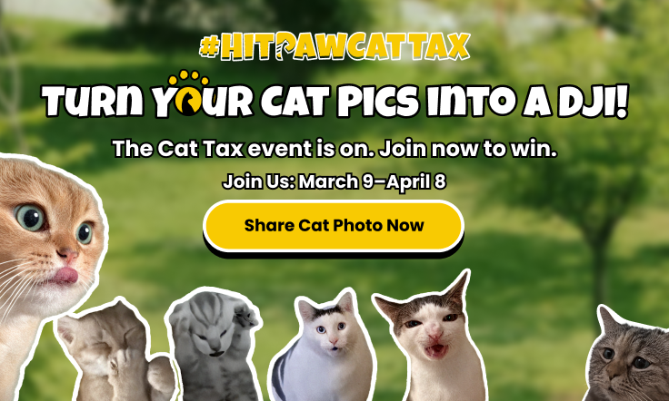 hitpaw cat tax event