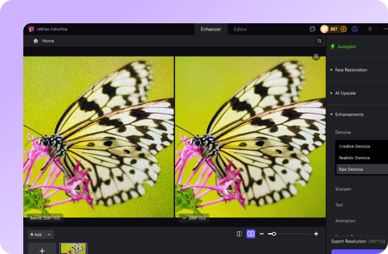 export denoising image by hitpaw fotorpea image denoiser