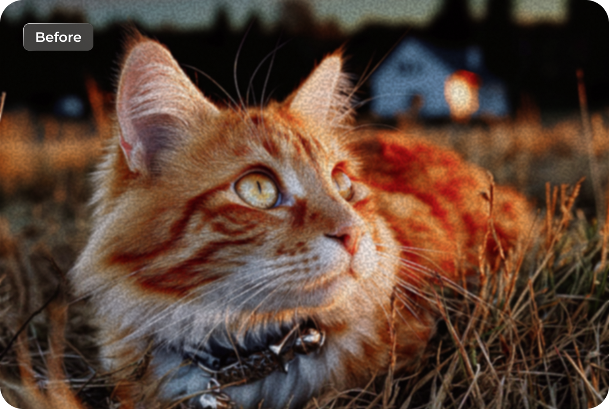 blurred photo caused by motion