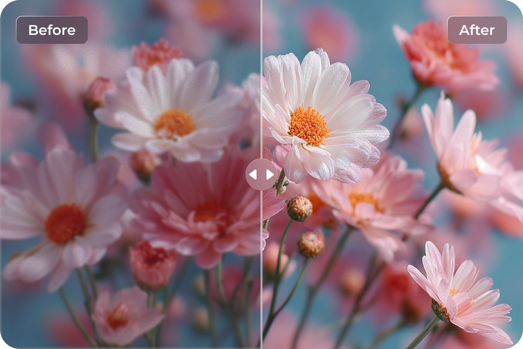 upscale Daily Photos quality on Mobile