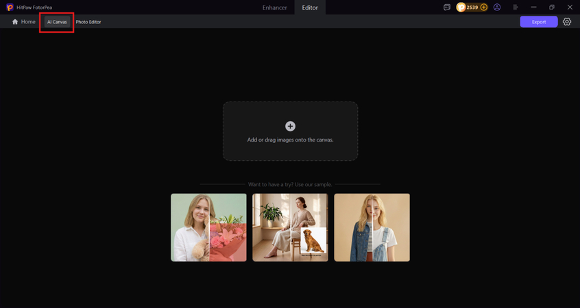 open ai canvas and upload photo