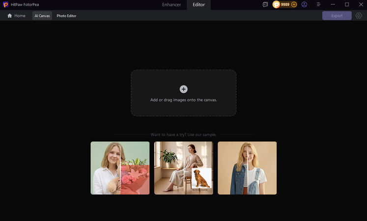 enter the ai canvas interface