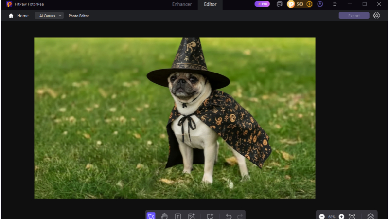 finished halloween dog costume photo