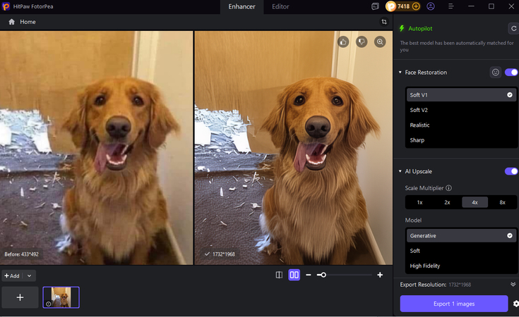 use fotorpea to enhance cooked dog meme