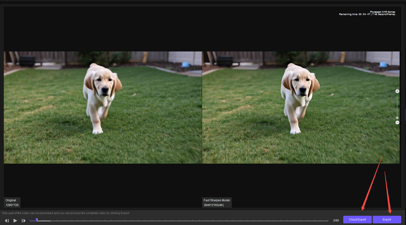 Export the enhanced pet photo from HitPaw FotorPea