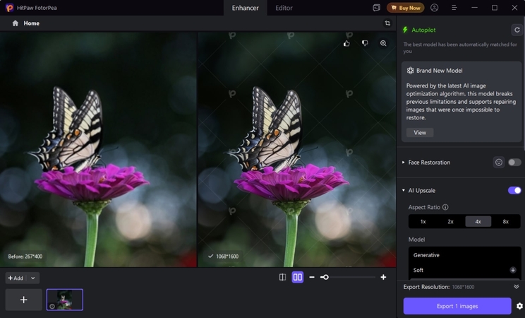 export image from fotorpea