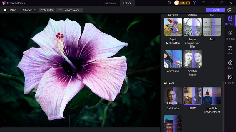 Colorize Old Photos with AI in HitPaw FotorPea