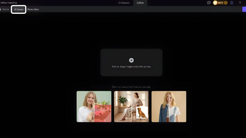 hitpaw fotorpea ai canvas mode
