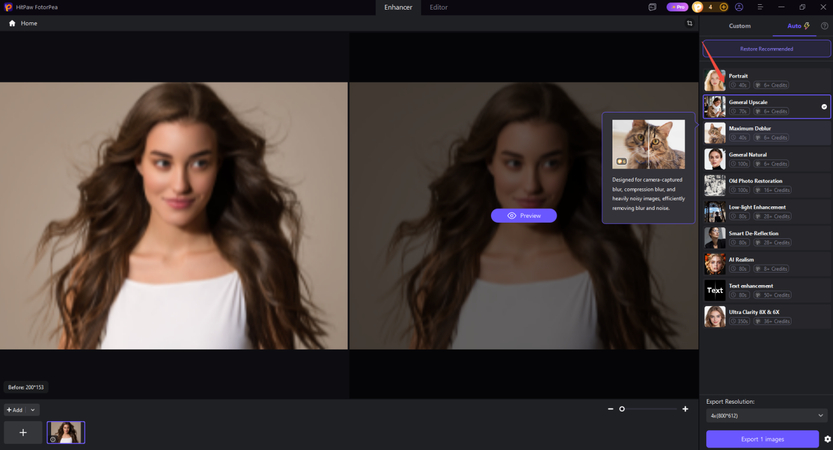 HitPaw FotorPea AI model selection for image enhancement