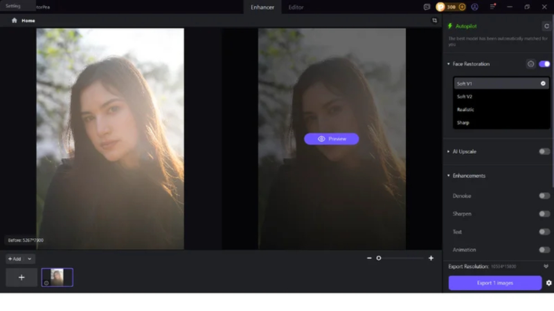 hitpaw fotorpea ai models