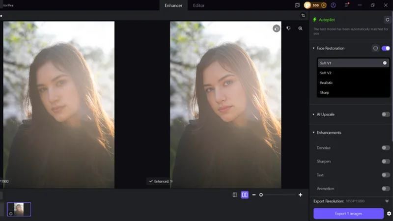 hitpaw fotorpea preview enhanced image