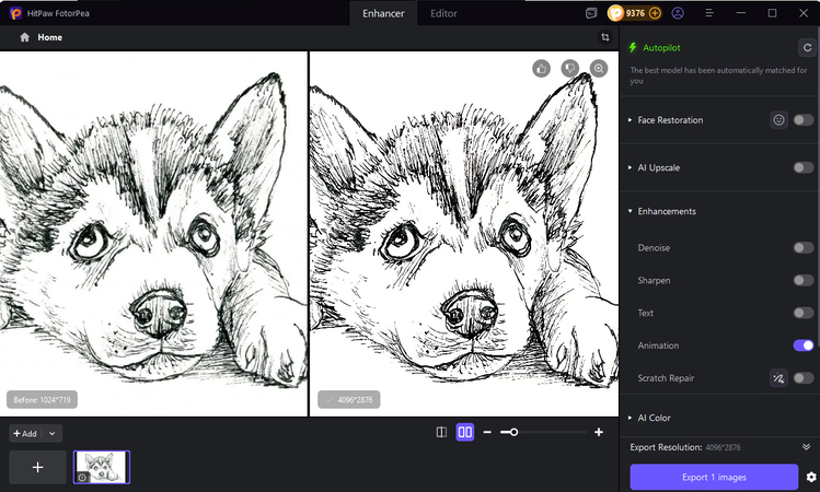 رسم كلب الهاسكي