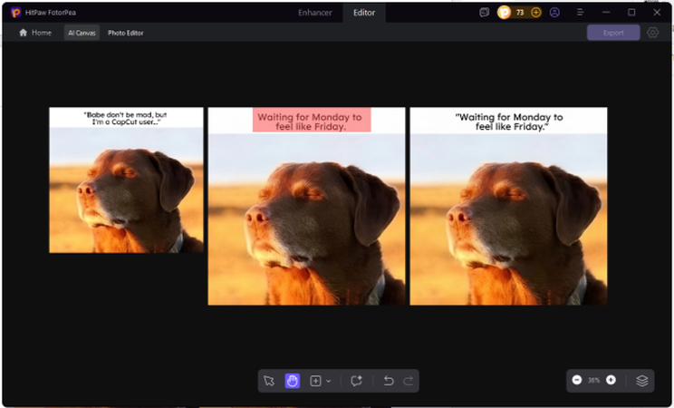 download dog staring at sunset meme