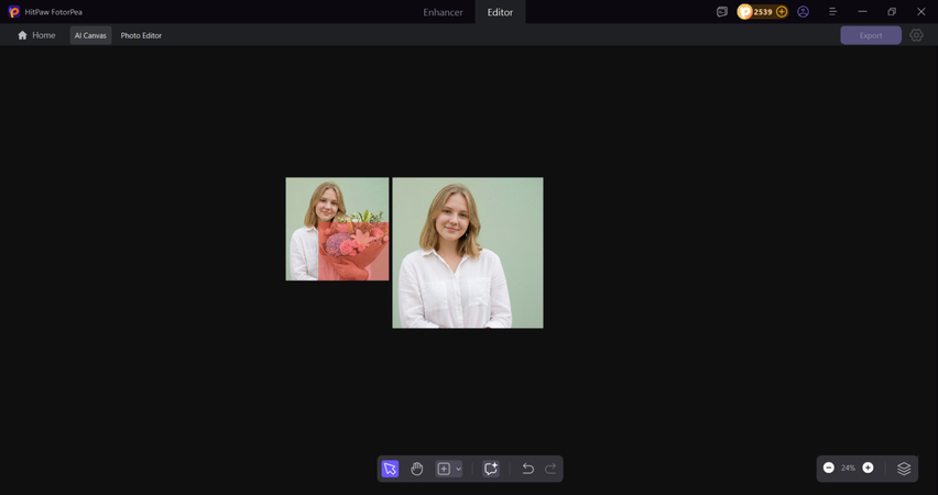 check the results and export image
