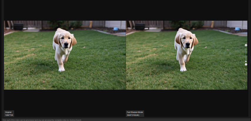 Preview the enhanced pet photo in HitPaw FotorPea