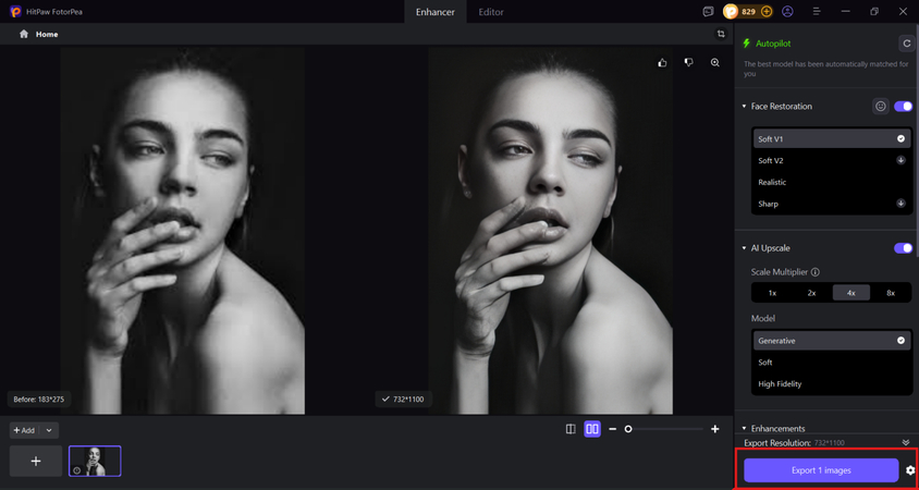 preview and download enhanced black and white portrait