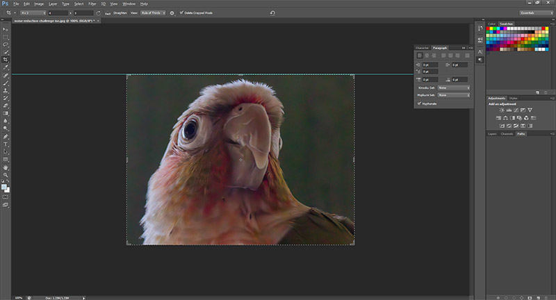 photo enhancer effct