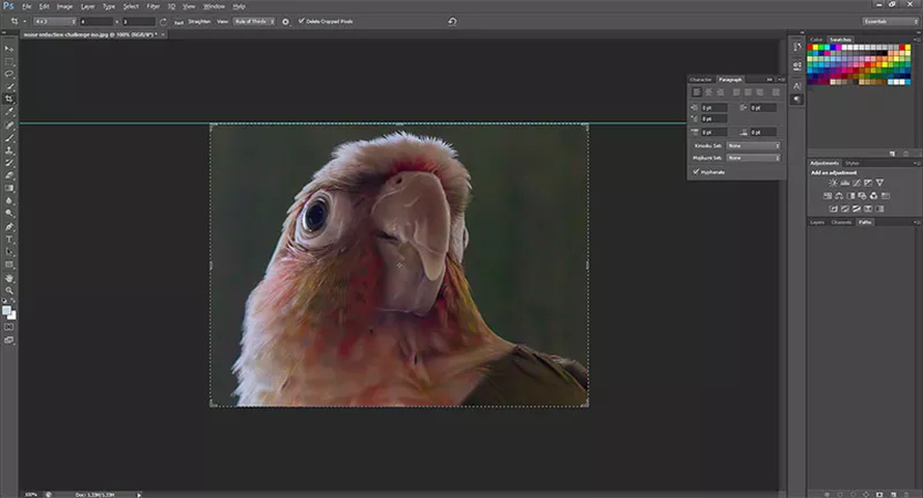 save the processed image