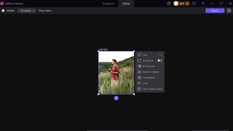 select ai chat for image extension