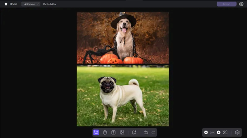 dog photo below costume reference