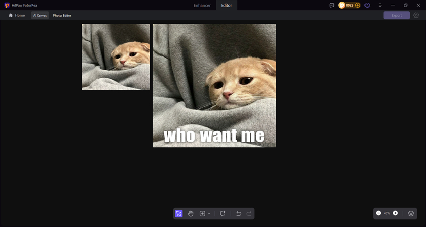 who want me hitpaw fotorpea meme preview