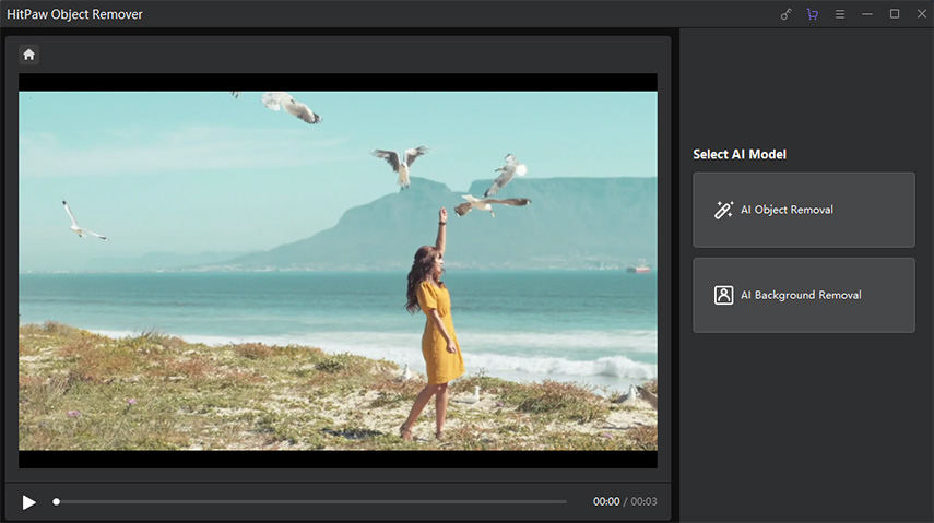 User Guide: How to Remove Object from Video with HitPaw Object Remover