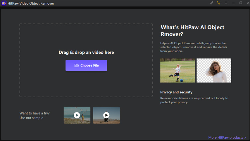 download the new HitPaw Photo Object Remover