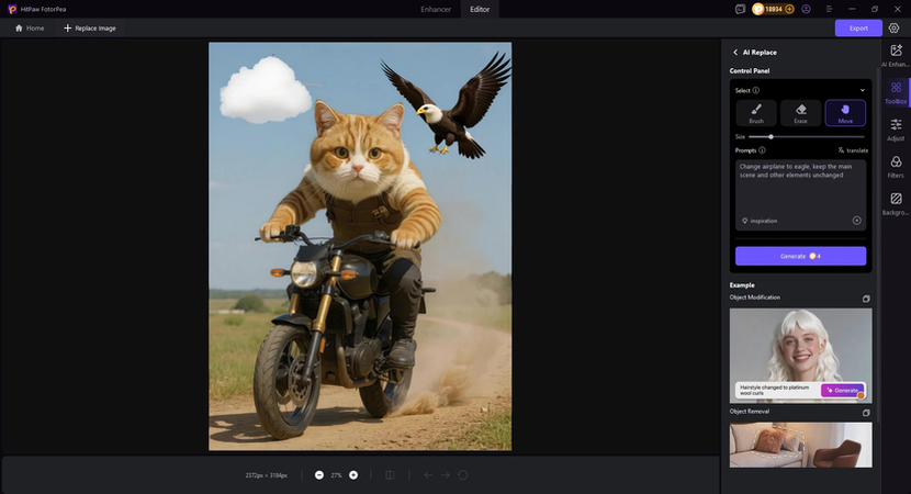 pictures of eagle replacing airplane