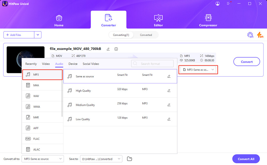 choose the mp3 audio format