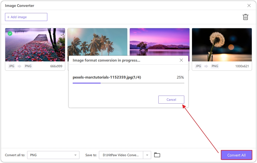 convert jpeg to png with hitpaw video converter