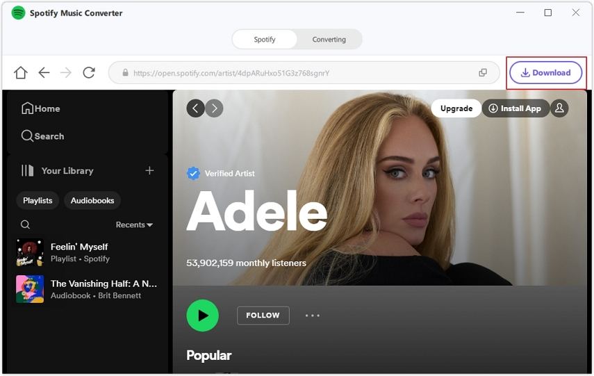 Como Baixar Músicas do Spotify em MP3 Gratuitamente sem premium em