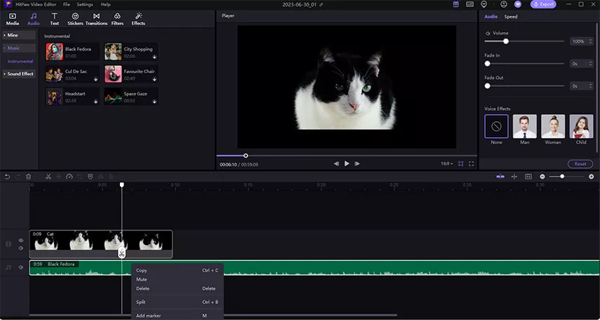 delete audio