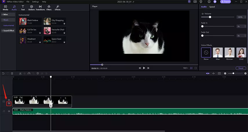 mute video