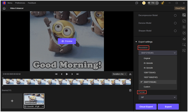 adjust gif resolution and export format