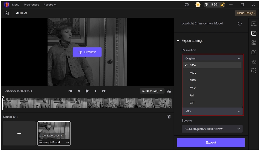 HitPaw Vikepea AI Color output options