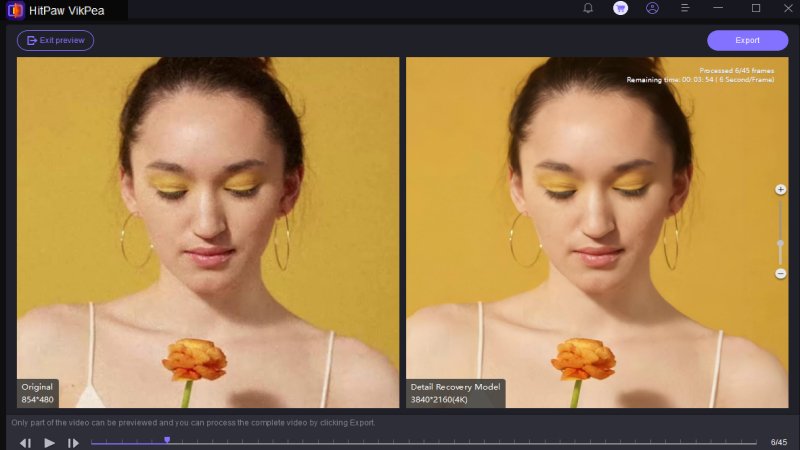 preview and export