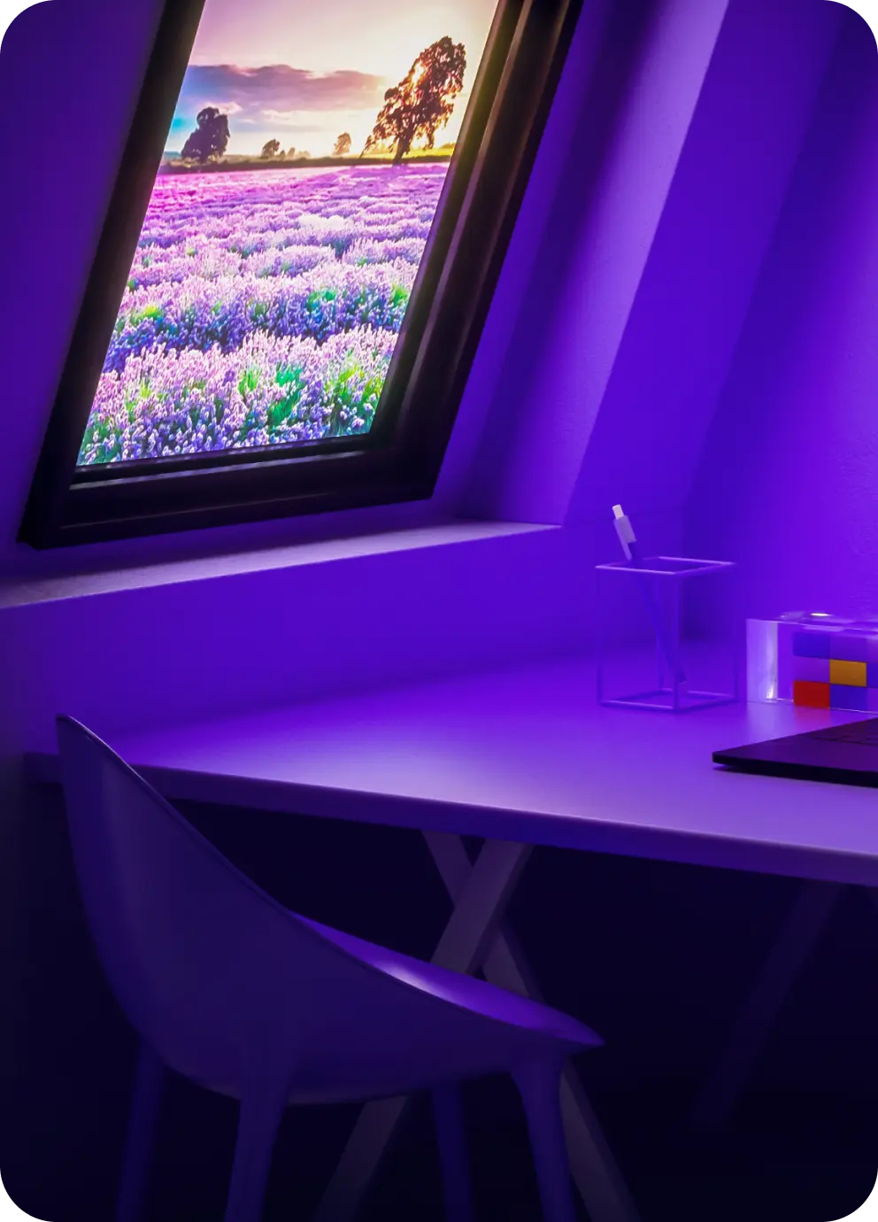 check more reviews about hitpaw products