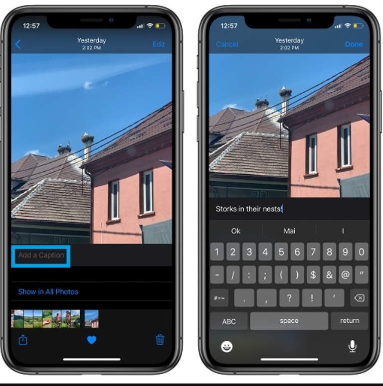 Full Guide on How to Add Captions to Photos on iPhone(2024)