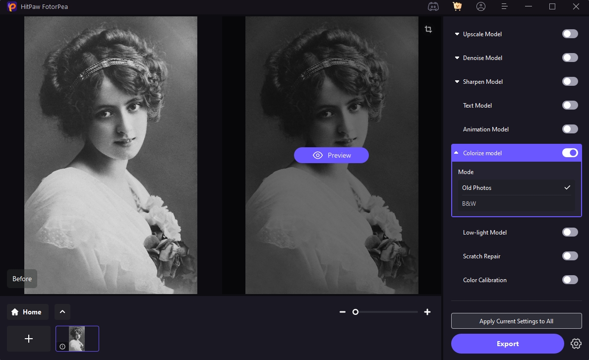 Colorize Model