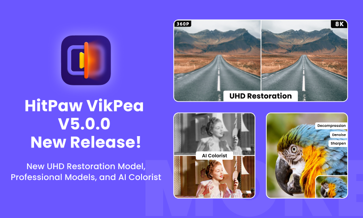 vikpea video enhancer