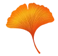 Ginkgo Leaf