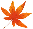 Maple Leaf