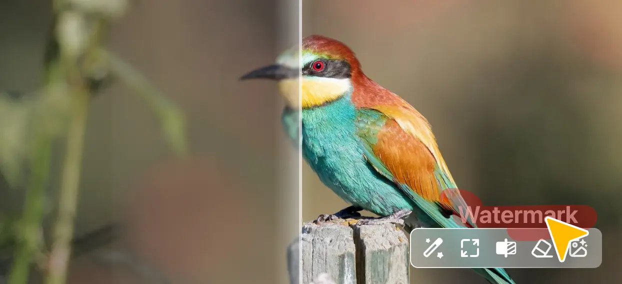 adjust details of wildlife photo