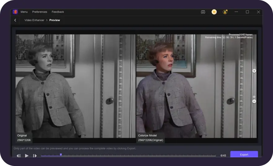 preview and export colorized video