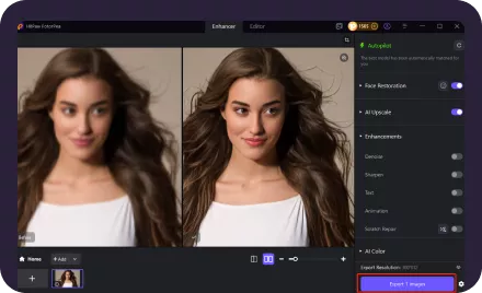 Preview and Export enhanced photo by hitpaw fotorpea