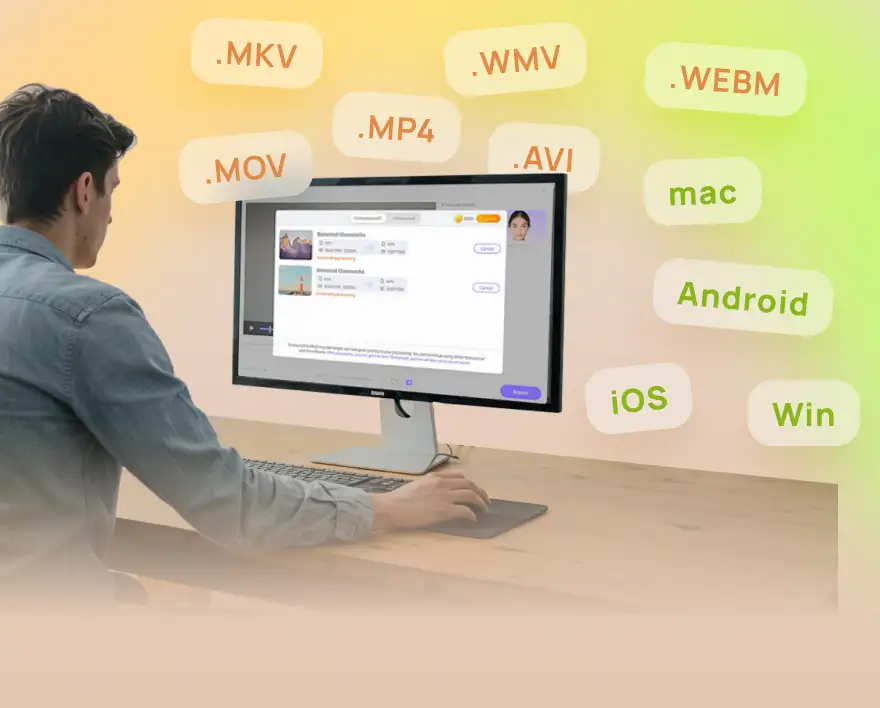 multi-format video compressor