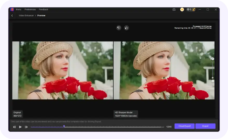 preview and export enhanced video