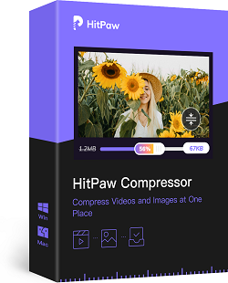 HitPaw Compressor box