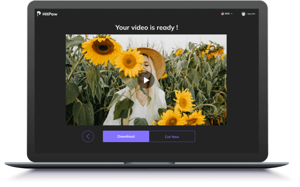 export video with hitpaw online video cutter